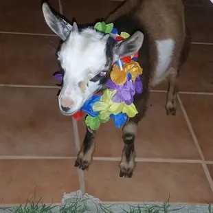 This bedazzled baby wouldn't give up her bling at the end of the night!