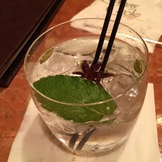 Botanical Gin & Tonic