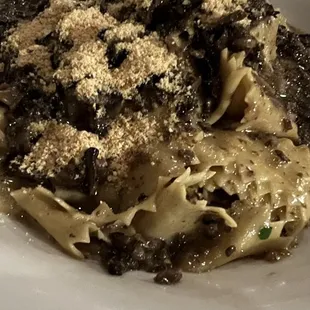 Pappardalle Mushroom Ragu