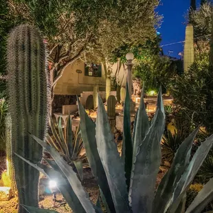 Beautiful outdoor patio area