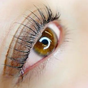 Lash Lift
