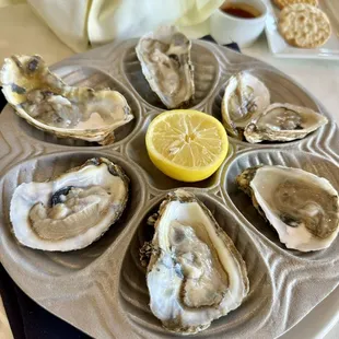 food, mussels, oysters and mussels, shellfish, oysters