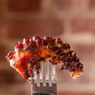 a piece of pizza on a fork