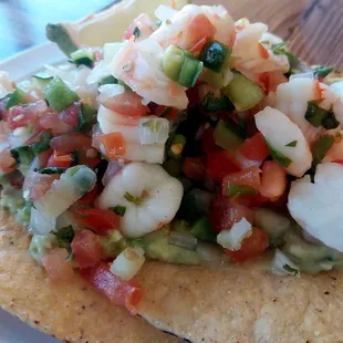 Shrimp Ceviche Tostadq