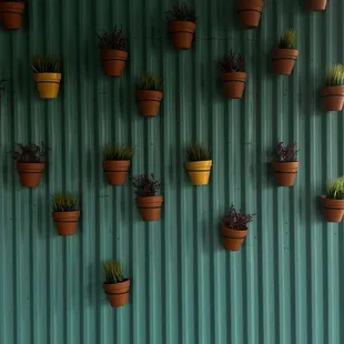 Wall decor upon entering shop