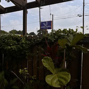 From the patio facing parking space