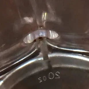 Black mold build up in drinking mugs