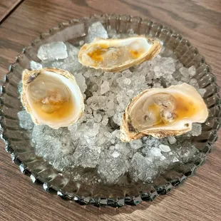 East Coast Oysters