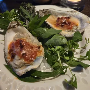 Oysters Amatriciana
