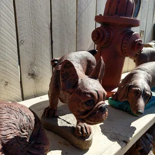 Peeing French Bulldog