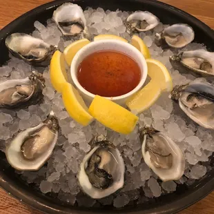 Oysters