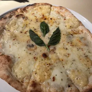 Gorgonzola Pizza