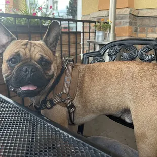 Waiting on our yummy tacos