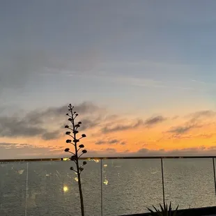 Views + good = vibe