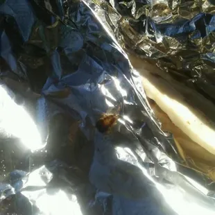 The roaches Casa Chacon serves in their food!