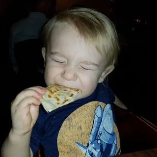 Cheese Quesadilla