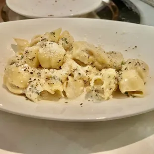 food, pasta, pasta dish