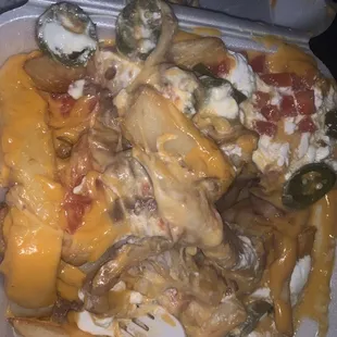 Carne Asada Fries