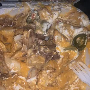 ASADA FRIES So these were supposed to be Carne Asada fries But after we drove home and open them we noticed there was no meat!