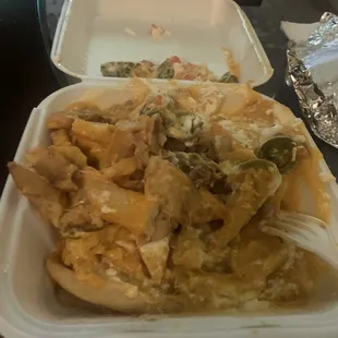 Carne Asada Fries
