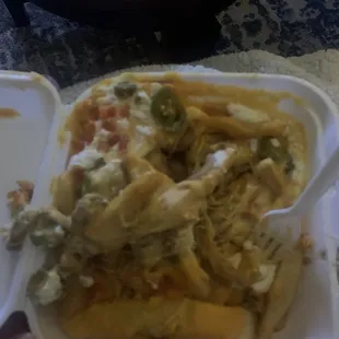 Carne asada fries