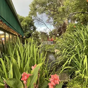 View of the pond in the patio area.