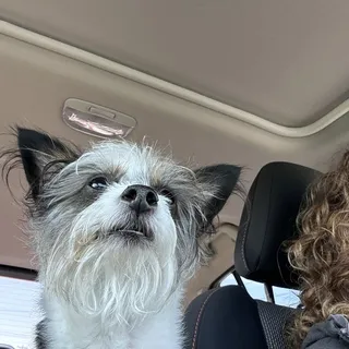 Munki M.