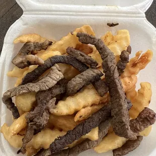 The lamest excuse for Carne Asada Fries I&apos;ve ever seen.