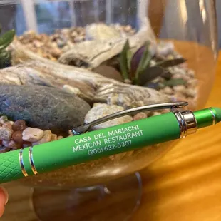  hand holding a green fountain pen