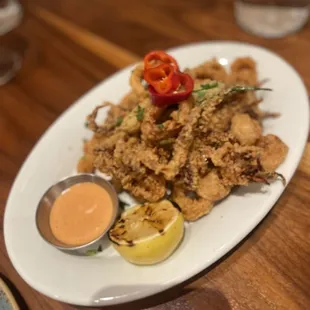 Fried Calamari
