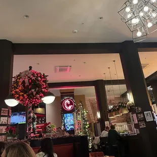 Bar, Restaurant Decorated for Christmas