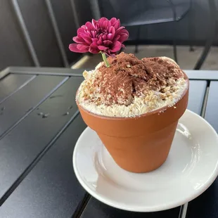 Lovely tiramisu on display
