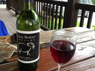 Black Sheep Vineyard