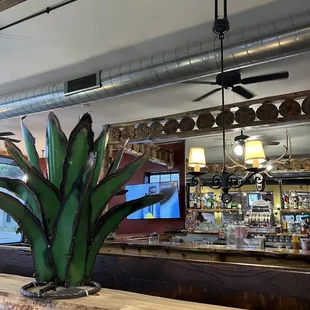 a plant in a bar