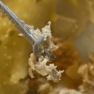 a fork in a bowl of food