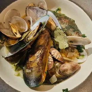 Mussels and Clams