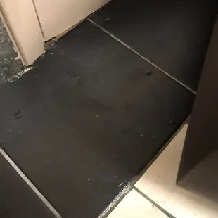 They have roaches!