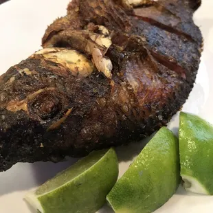 Tilapia