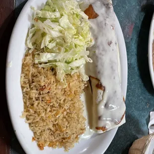 Wet Burrito (also comes with guacamole/etc.)