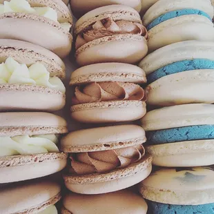 Vanilla Bean, Chocolate Ganache and Blueberry Macarons