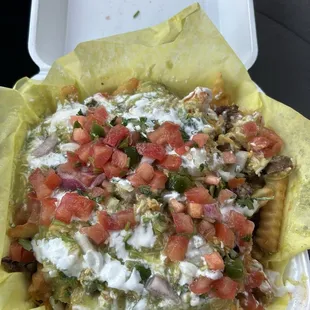 Large Carne Asada Fries
