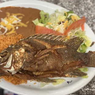Tilapia plate