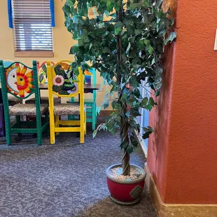 a tree in a pot