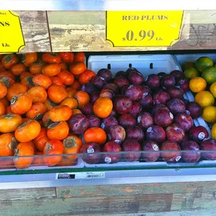 Fresh Fruit, October 28, 2024