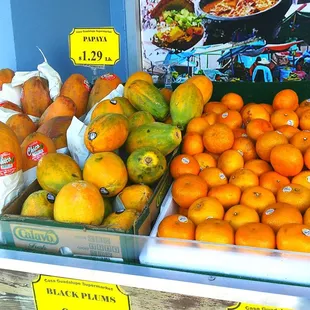 Fresh Fruit, October 28, 2024