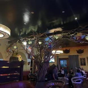 the interior of the restaurant