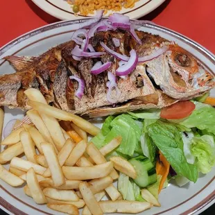 #75 red snapper