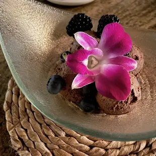 Chocolate mouse, bring a friend there is plenty to share!