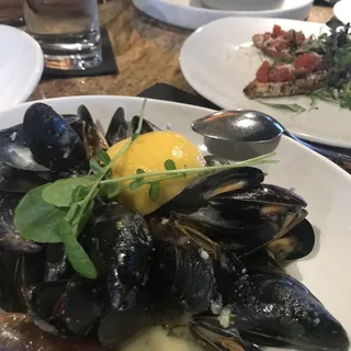 Cozze Azzurro