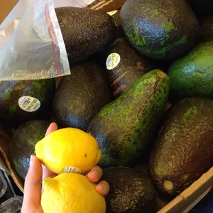 2 lemons for $1 but OMG look at these avocados!